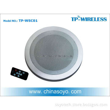 2.4G Digital Wireless Speaker (TP-WSC01)